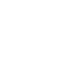 Logo Head